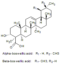 Boswellic acid (α+β)